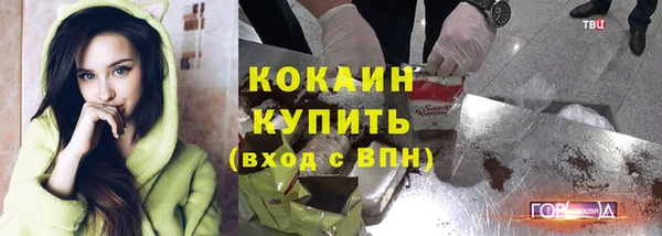 гашик Алексин