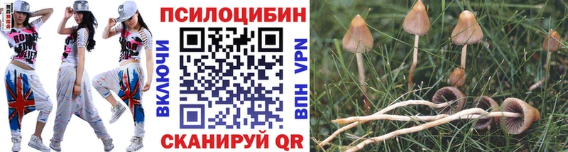 Псилоцибиновые грибы MAGIC MUSHROOMS Стародуб