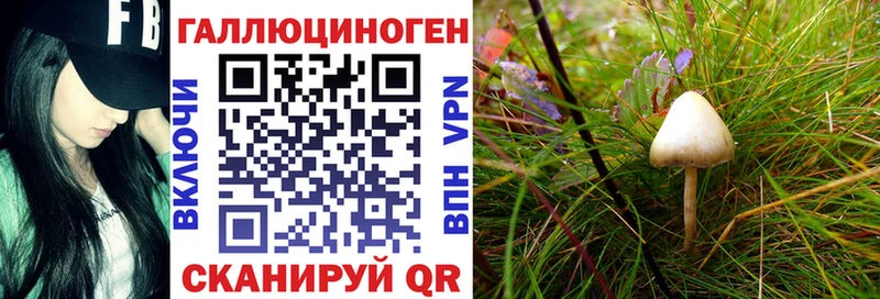 Галлюциногенные грибы GOLDEN TEACHER  Стародуб 