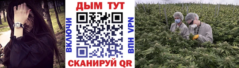 Бошки Шишки план даркнет сайт Стародуб